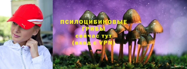 spice Заволжье