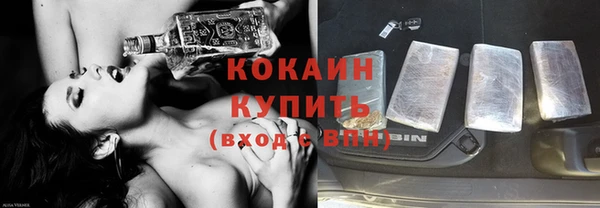альфа пвп Заводоуковск