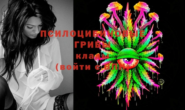 spice Заволжье