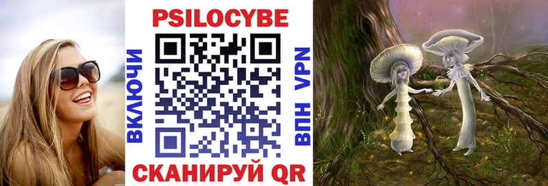Псилоцибиновые грибы Psilocybine cubensis  Купить где  Яхрома 